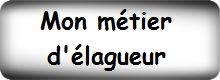mon_metier_d'elagueur